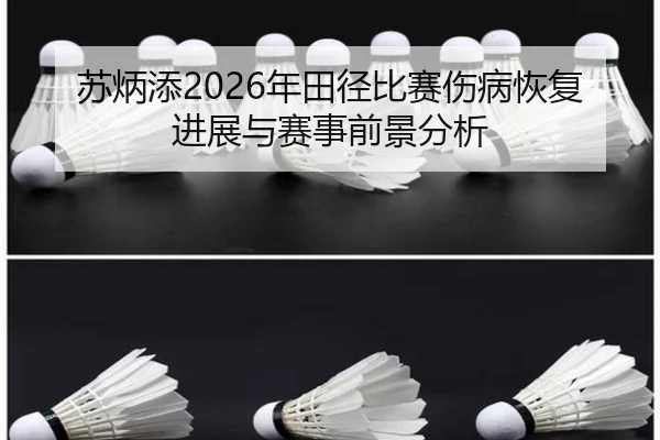 su-bing-tian-nian-tian-jing-bi-sai-shang-bing-hui-fu-jin-zhan-yu-sai-shi-qian-jing-fen-xi-2-805.jpg