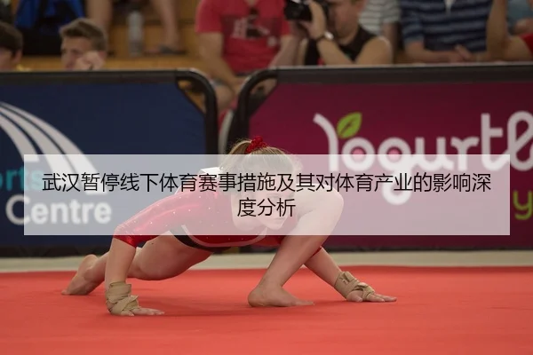 武汉暂停线下体育赛事措施及其对体育产业的影响深度分析