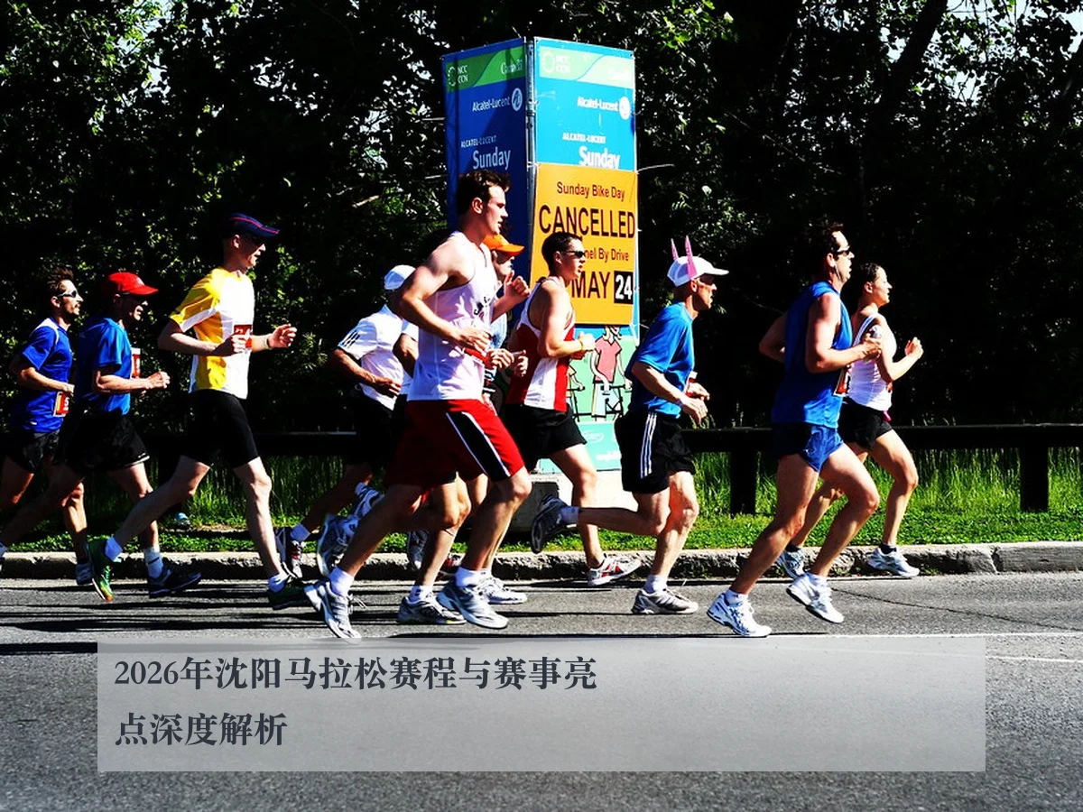 2026年沈阳马拉松赛程与赛事亮点深度解析